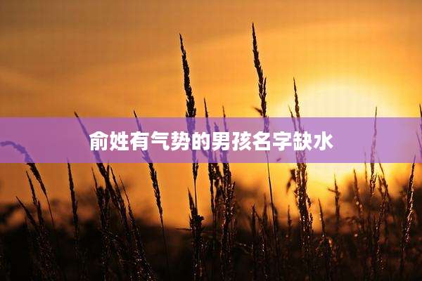 俞姓有气势的男孩名字缺水