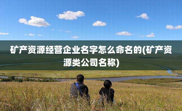 矿产资源经营企业名字怎么命名的(矿产资源类公司名称)