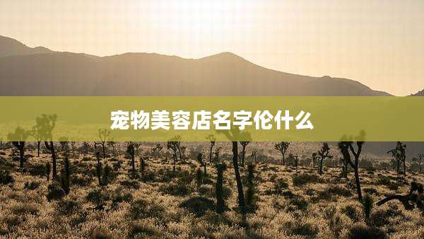 宠物美容店名字伦什么