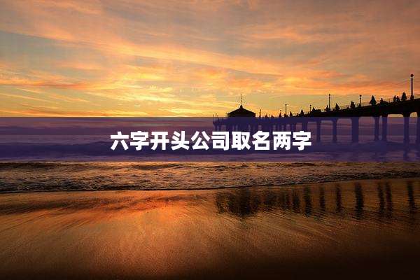 六字开头公司取名两字
