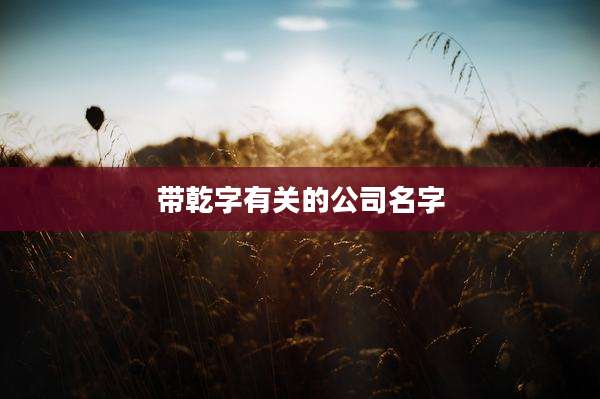带乾字有关的公司名字