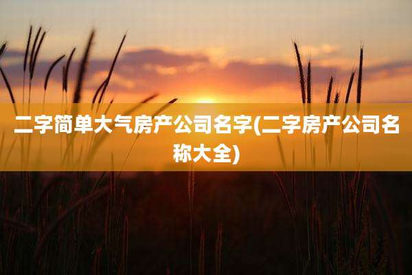 二字简单大气房产公司名字(二字房产公司名称大全)