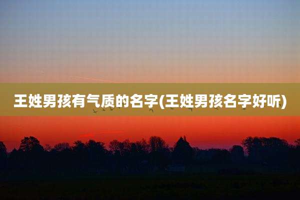 王姓男孩有气质的名字(王姓男孩名字好听)