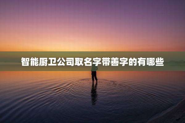 智能厨卫公司取名字带善字的有哪些