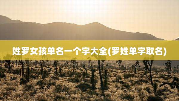 姓罗女孩单名一个字大全(罗姓单字取名)