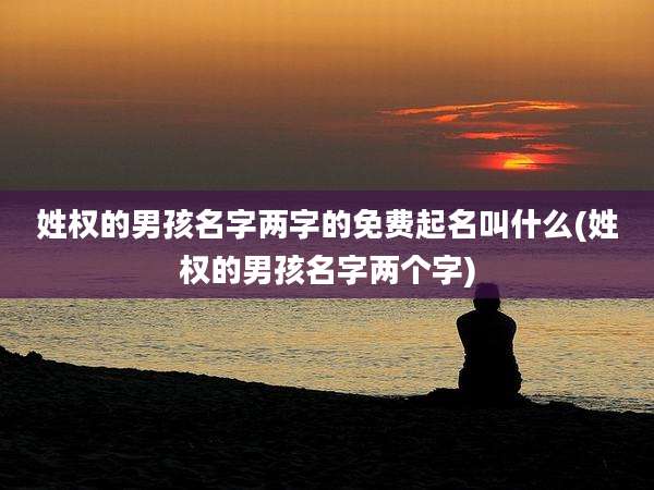 姓权的男孩名字两字的免费起名叫什么(姓权的男孩名字两个字)