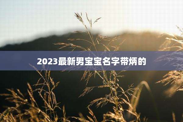 2023最新男宝宝名字带炳的