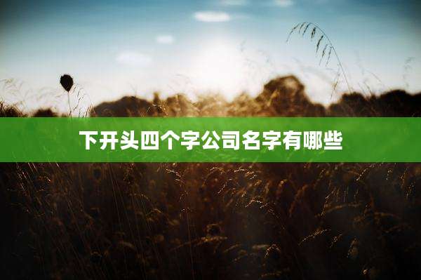 下开头四个字公司名字有哪些