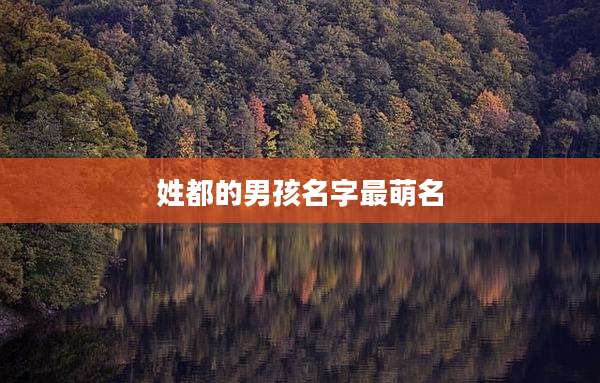 姓都的男孩名字最萌名