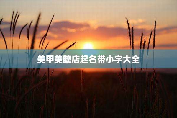美甲美睫店起名带小字大全