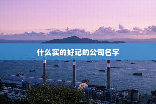 什么实的好记的公司名字