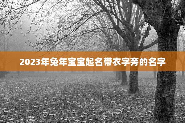2023年兔年宝宝起名带衣字旁的名字