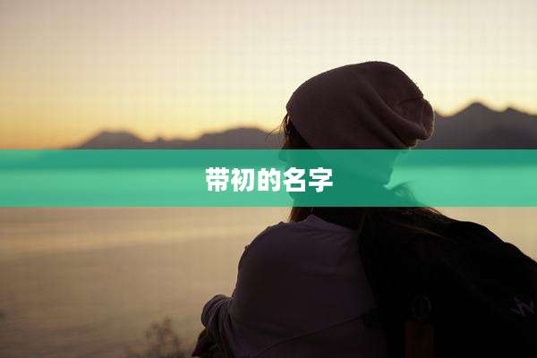 带初的名字