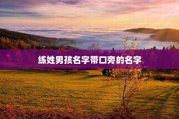 练姓男孩名字带口旁的名字