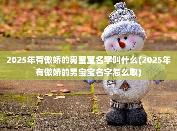 2025年有傲娇的男宝宝名字叫什么(2025年有傲娇的男宝宝名字怎么取)