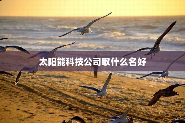 太阳能科技公司取什么名好