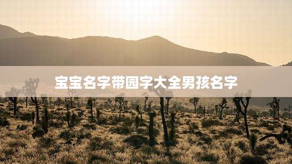宝宝名字带园字大全男孩名字
