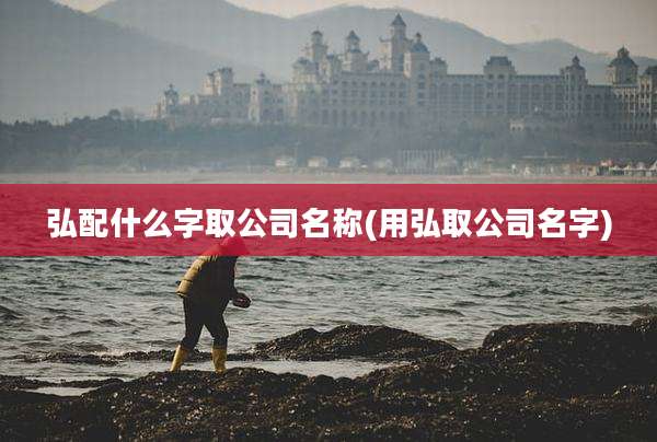 弘配什么字取公司名称(用弘取公司名字)