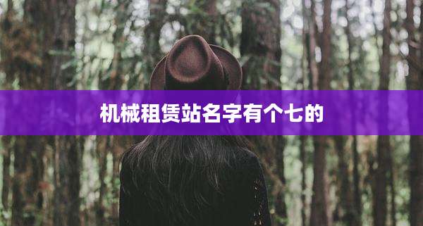 机械租赁站名字有个七的