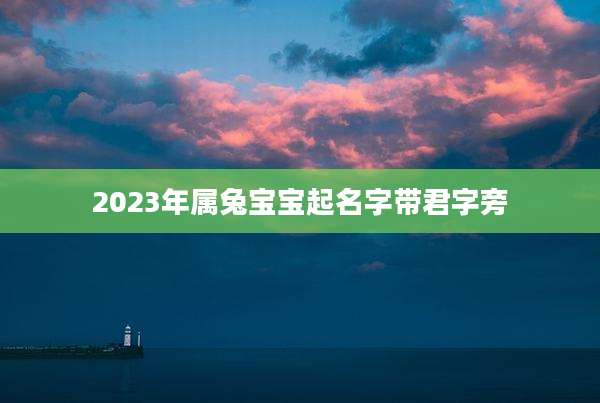2023年属兔宝宝起名字带君字旁