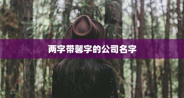 两字带馨字的公司名字