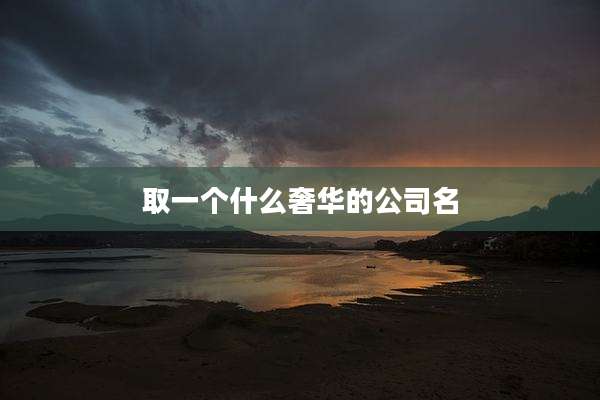 取一个什么奢华的公司名