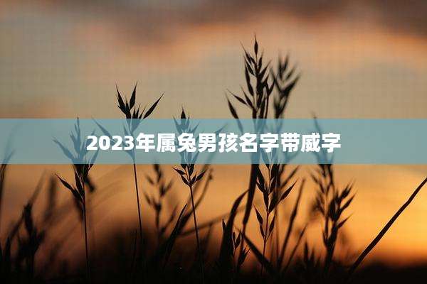 2023年属兔男孩名字带威字