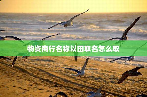 物资商行名称以田取名怎么取