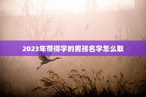 2023年带得字的男孩名字怎么取
