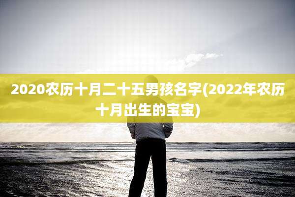 2020农历十月二十五男孩名字(2022年农历十月出生的宝宝)