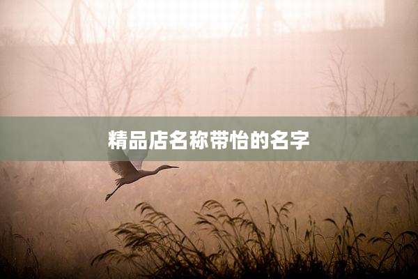 精品店名称带怡的名字