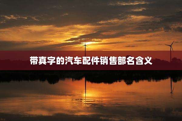 带真字的汽车配件销售部名含义