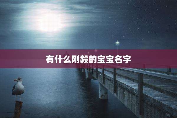 有什么刚毅的宝宝名字