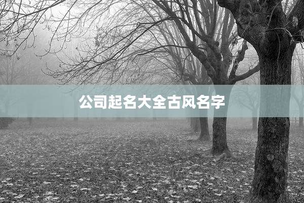 公司起名大全古风名字