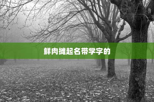 鲜肉摊起名带学字的