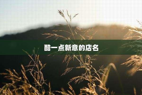 酷一点新意的店名