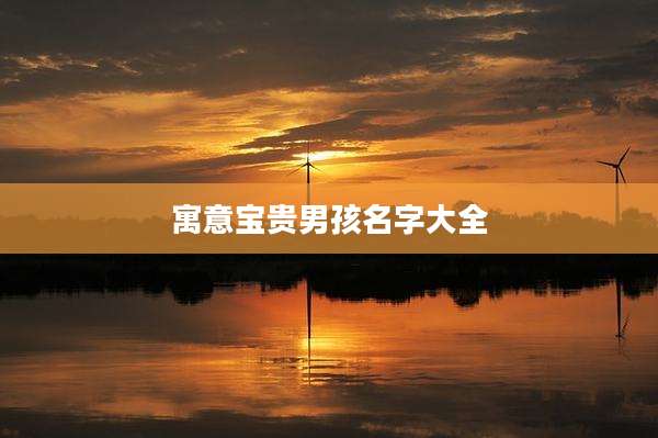寓意宝贵男孩名字大全
