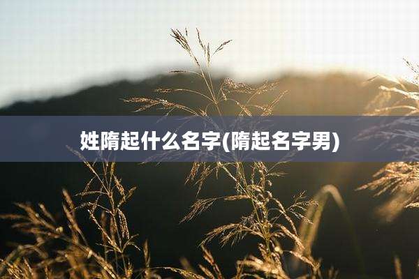 姓隋起什么名字(隋起名字男)