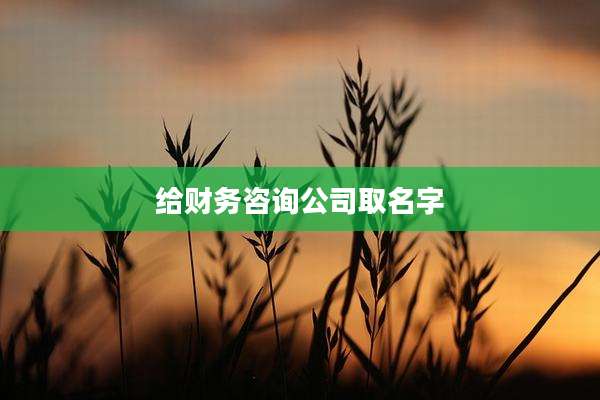 给财务咨询公司取名字