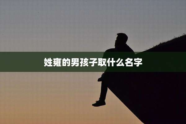 姓雍的男孩子取什么名字