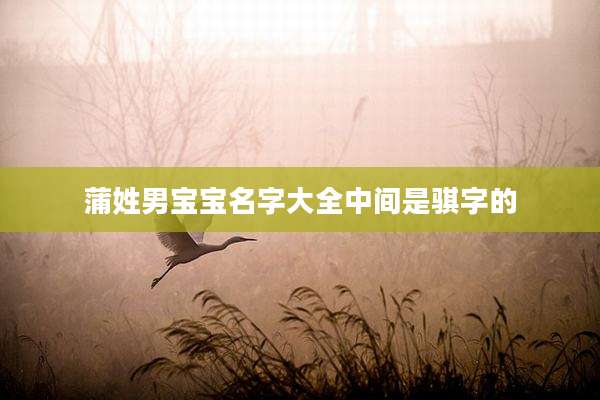 蒲姓男宝宝名字大全中间是骐字的
