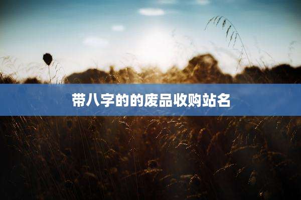 带八字的的废品收购站名