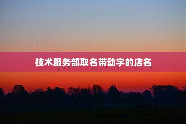 技术服务部取名带动字的店名