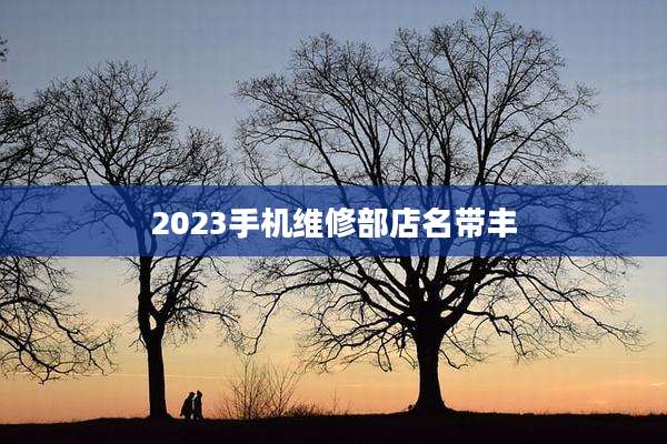 2023手机维修部店名带丰