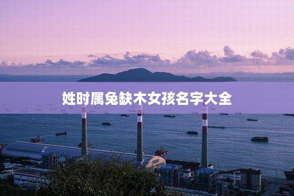 姓时属兔缺木女孩名字大全