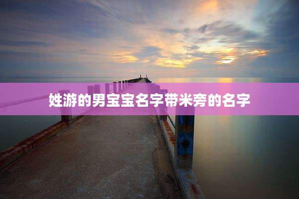姓游的男宝宝名字带米旁的名字