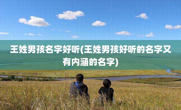王姓男孩名字好听(王姓男孩好听的名字又有内涵的名字)