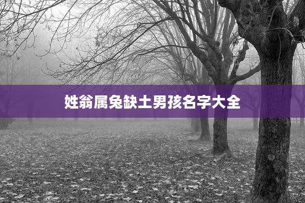 姓翁属兔缺土男孩名字大全
