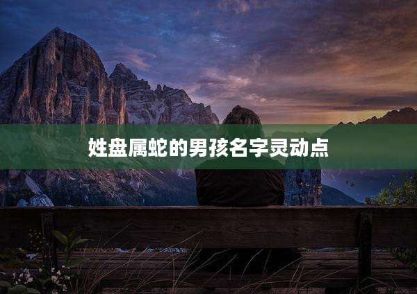 姓盘属蛇的男孩名字灵动点