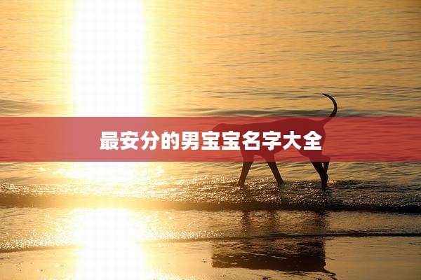 最安分的男宝宝名字大全